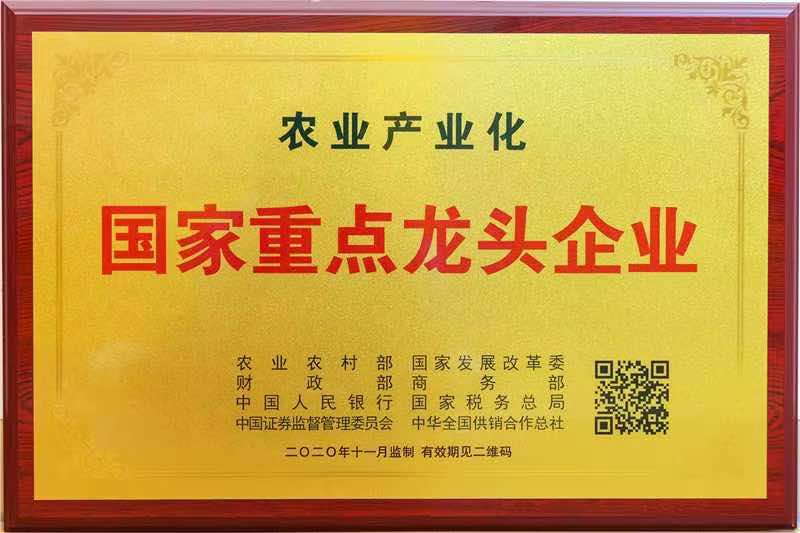 國家重點龍頭企業